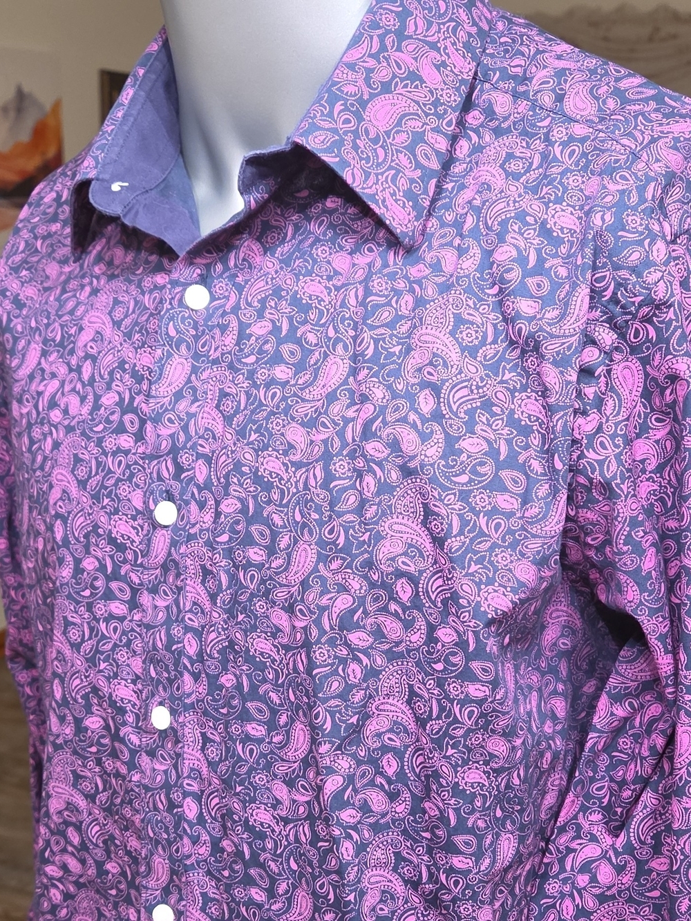 Daniel Cremieux Purple and Pink Paisley Button-Down Shirt Size L